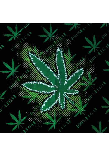 Bandamka 100% LEGAL