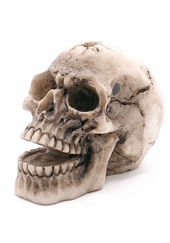 Figurka Czaszka postrzelona