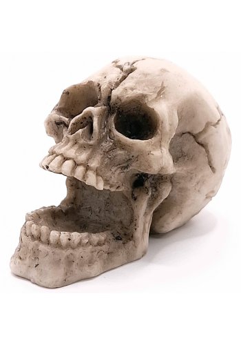 Figurka Czaszka z otwartą szczęką