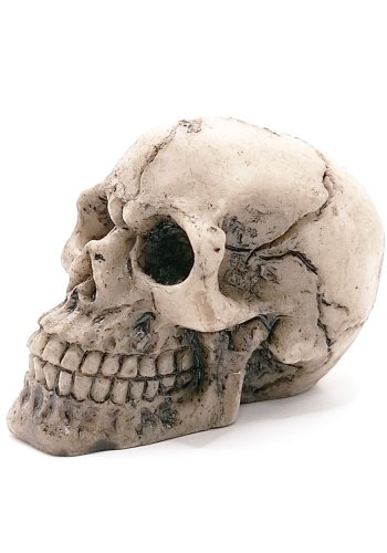 Figurka Czaszka
