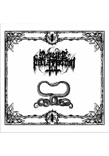 IMPURE DECLARATION „Mind Upheaval, Unclear Signs” 