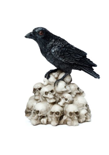 Wrona na stosie Czaszek